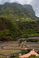 566_Madera_okolice Faial